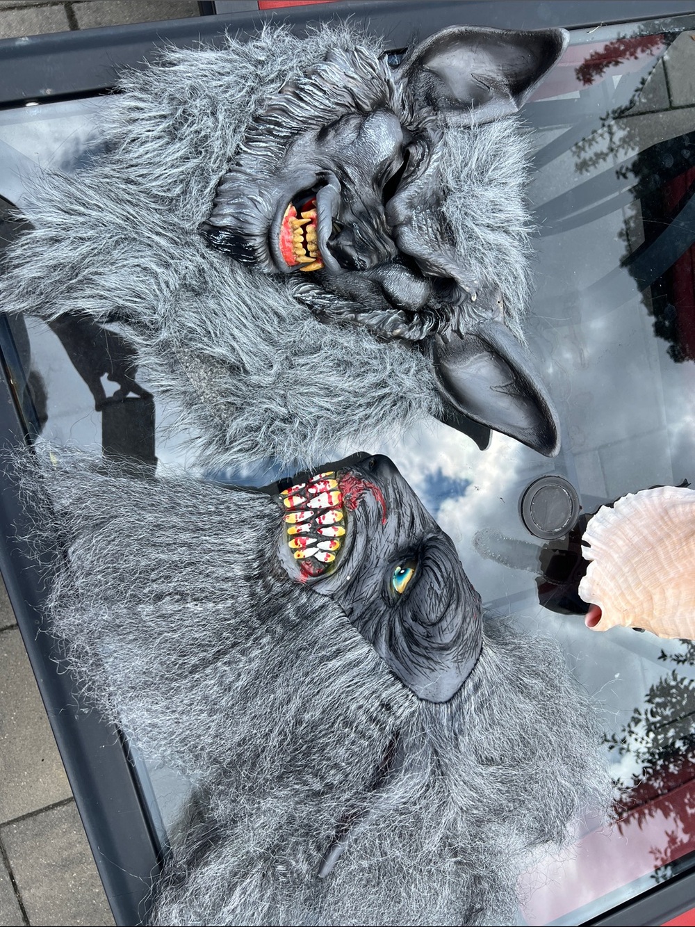 Gray Werewolf Costume Mask